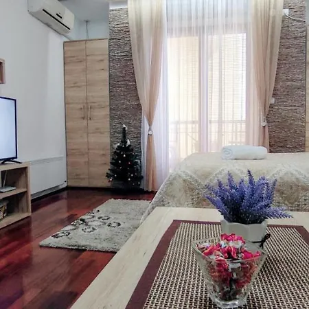 Apartman Temida Lux Vrnjacka Banja Exterior photo