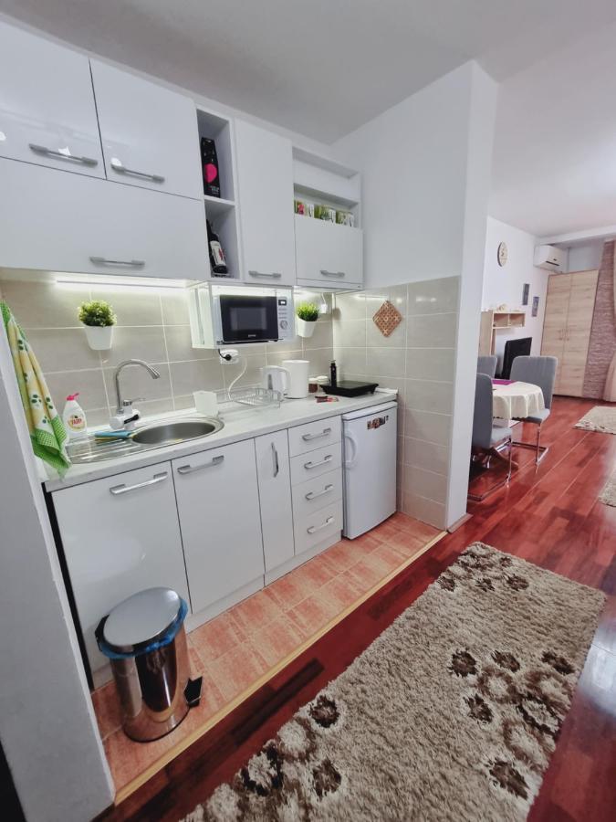 Apartment Temida Lux Vrnjacka Banja
